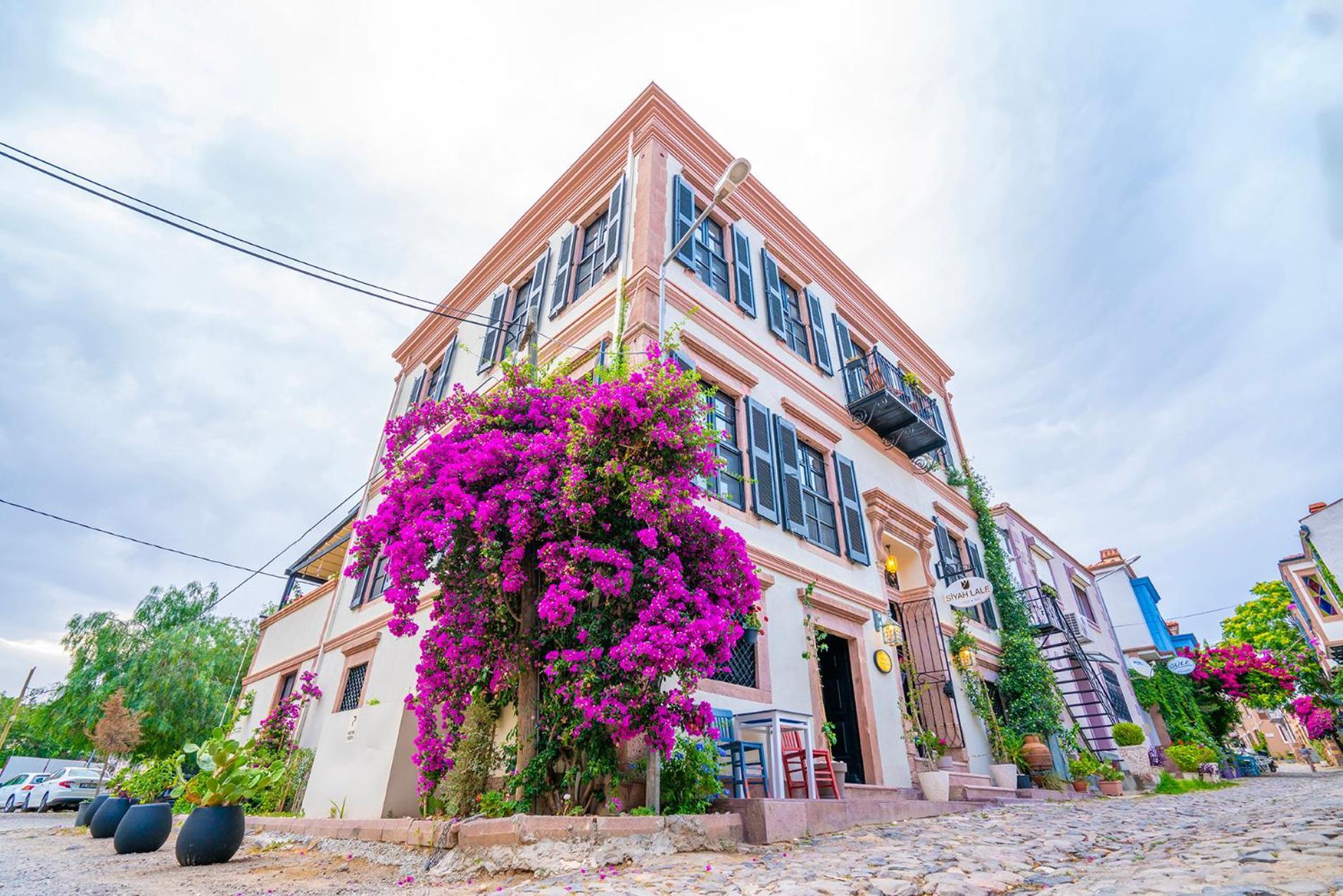 Hotel Siyah Lale Cunda 1841 (Adults Only) Ayvalı Zewnętrze zdjęcie