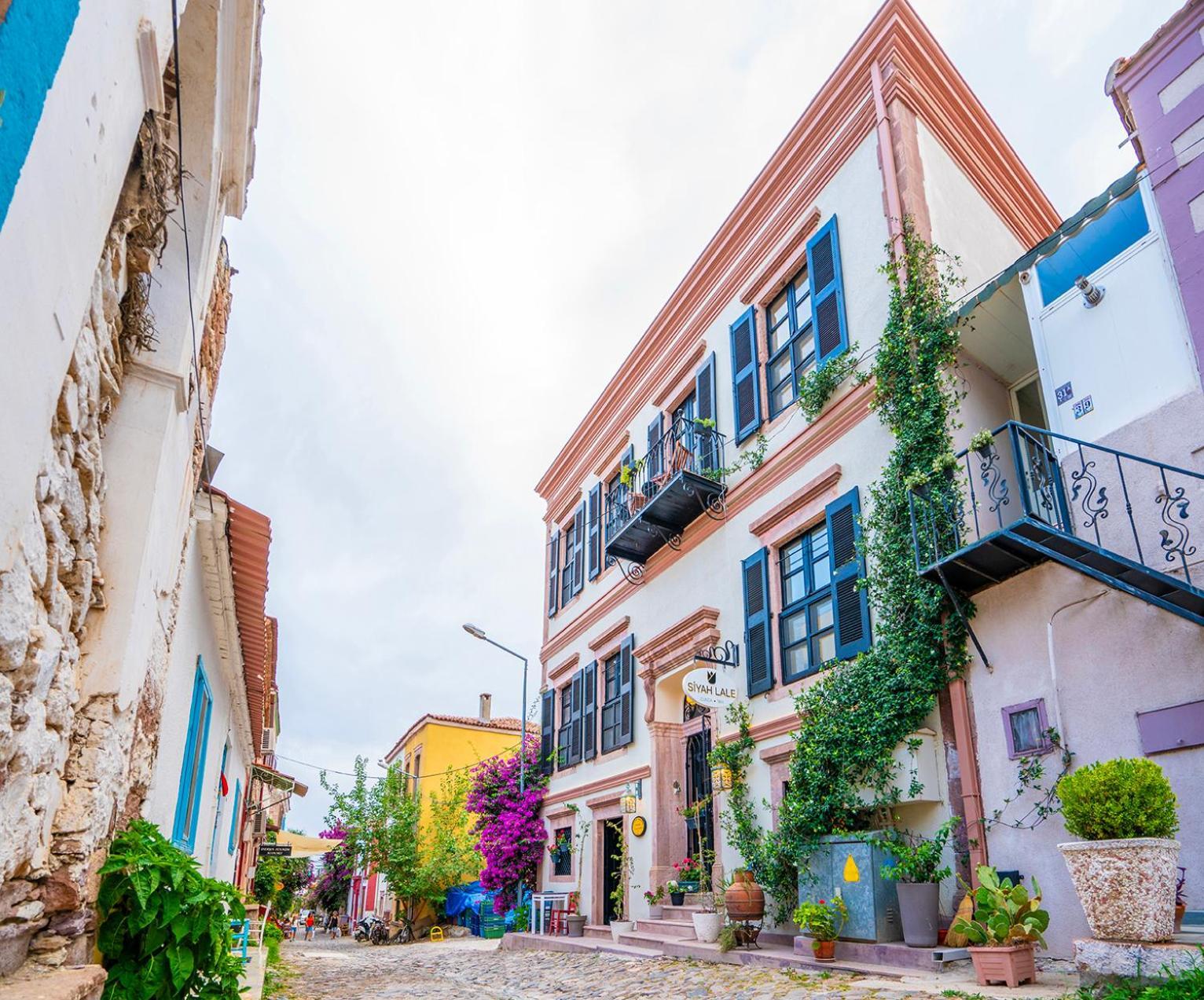 Hotel Siyah Lale Cunda 1841 (Adults Only) Ayvalı Zewnętrze zdjęcie